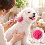 Bath Brush